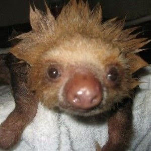 Meet your Posher, Mia